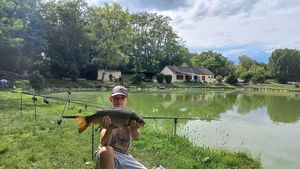 Common Carp