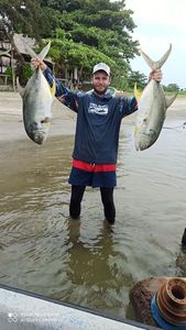 Giant Trevally (GT)