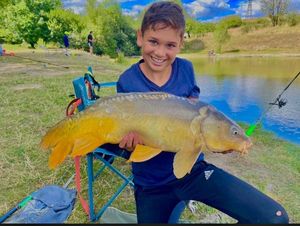 Mirror Carp