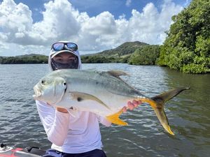 Crevalle Jack