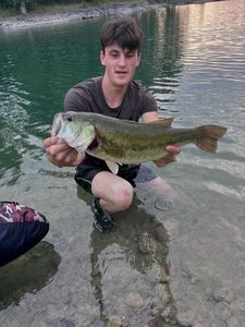 Largemouth Bass