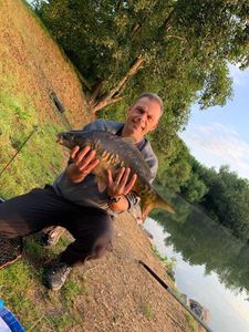 Mirror Carp