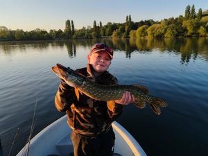 Northern Pike