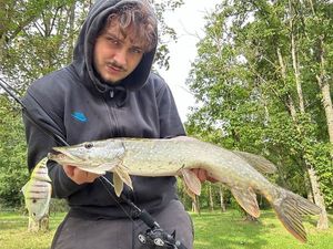 Northern Pike