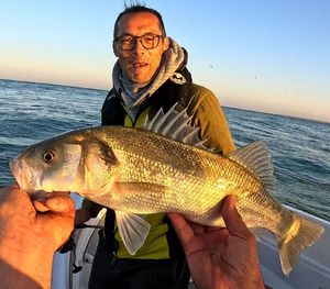 European Bass (Seabass)