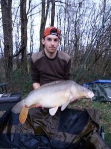 Mirror Carp