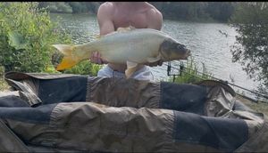 Koï Fish