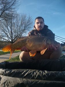 Leather Carp