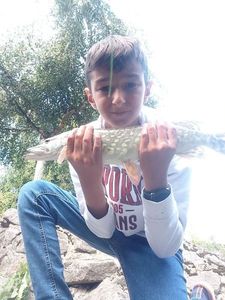 Northern Pike