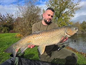 Grass Carp