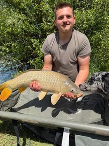 Common Carp