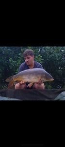 Mirror Carp
