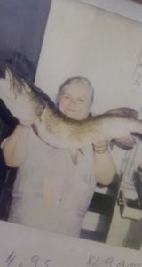 Brochet