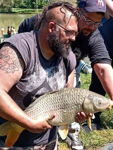 Common Carp