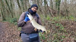 Northern Pike