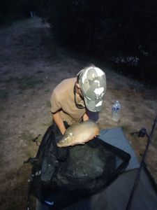 Mirror Carp