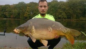 Mirror Carp