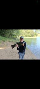 Tench
