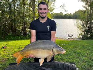Mirror Carp