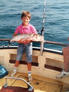 European Bass (Seabass)