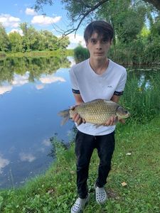 Crucian Carp