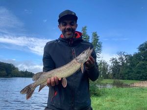 Northern Pike