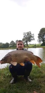 Common Carp