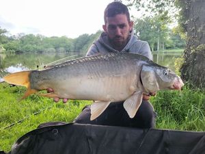 Leather Carp