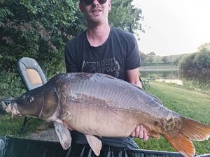 Mirror Carp