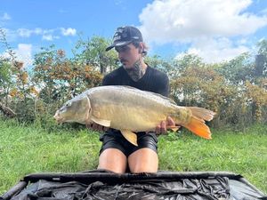 Mirror Carp