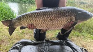 Grass Carp