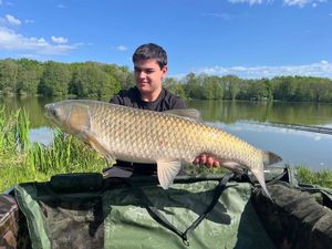 Grass Carp