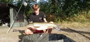 Grass Carp