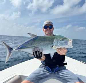 Bluefin Trevally