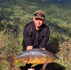 Mirror Carp