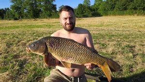 Common Carp
