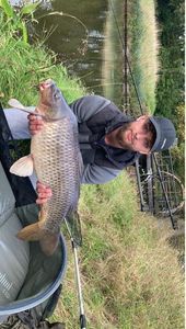 Common Carp