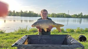 Mirror Carp