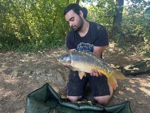 Mirror Carp