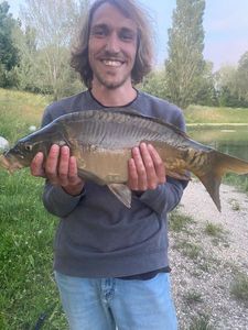 Leather Carp