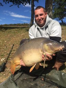 Mirror Carp