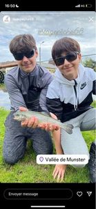 Rainbow Trout