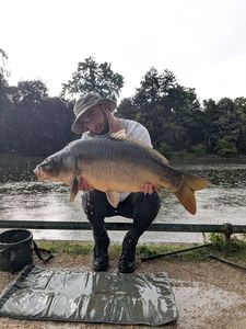 Mirror Carp