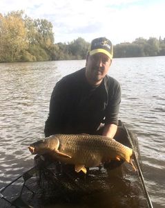 Common Carp