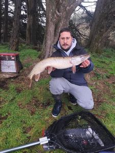 Northern Pike