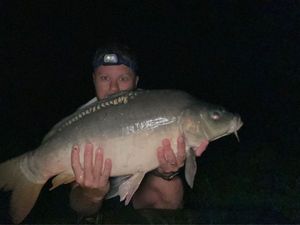 Mirror Carp