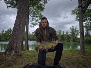 Tench