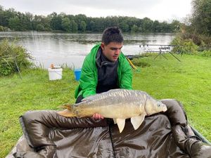 Mirror Carp