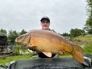 Mirror Carp