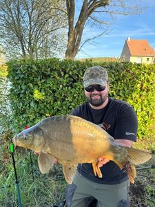 Mirror Carp